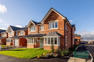 Photo 40- click for photo gallery